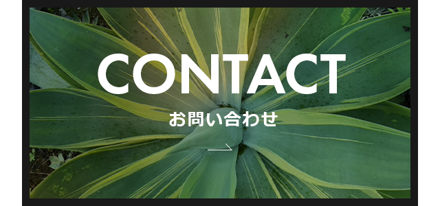 サービス内容 | K'z plants
